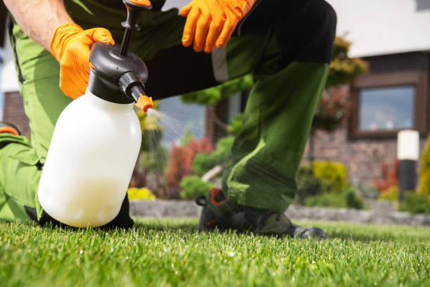 Pest Control for Restaurants in Hayesville, OR